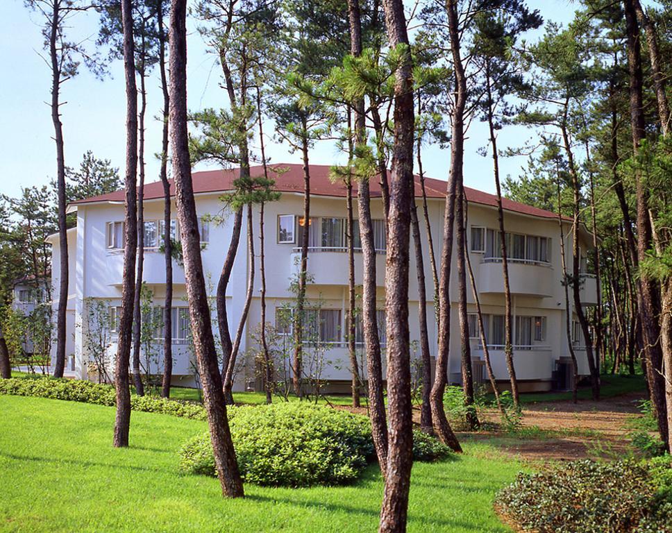 Luxze Hitotsuba/Cottage Himuka Miyazaki Kamer foto