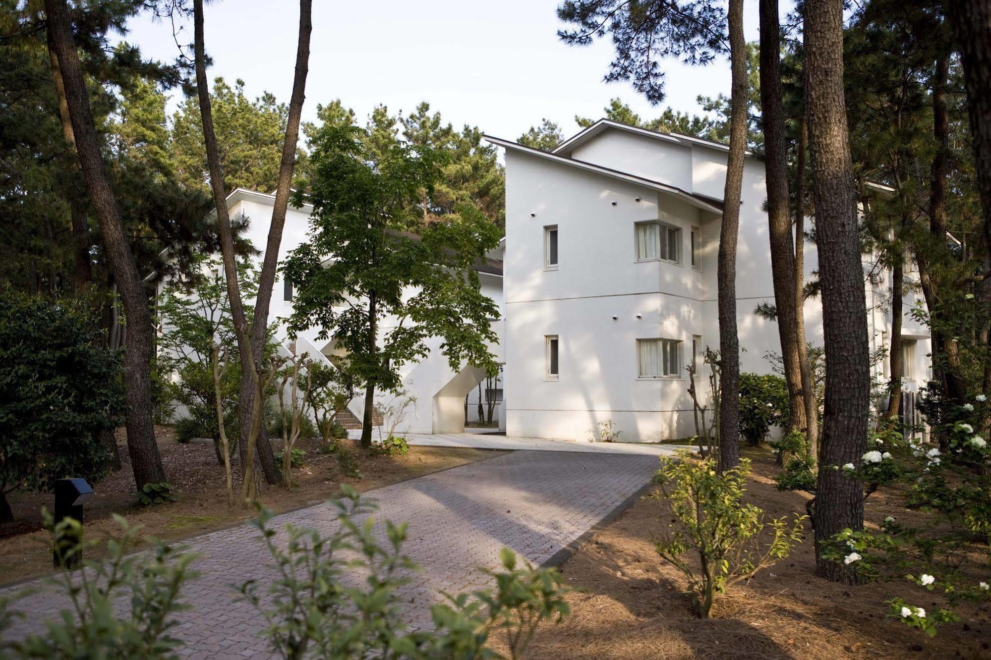 Luxze Hitotsuba/Cottage Himuka Miyazaki Buitenkant foto